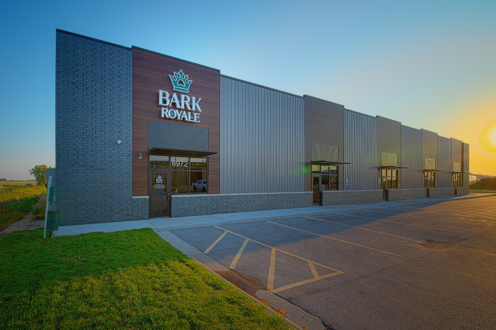 Graphic Design Project Example